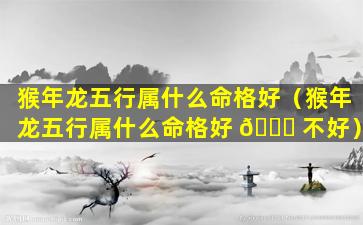 猴年龙五行属什么命格好（猴年龙五行属什么命格好 🐞 不好）